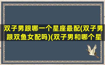 双子男跟哪一个星座最配(双子男跟双鱼女配吗)(双子男和哪个星座)