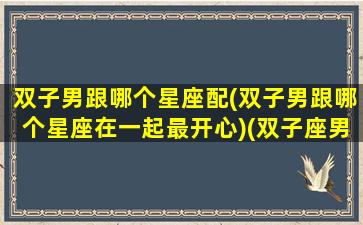 双子男跟哪个星座配(双子男跟哪个星座在一起最开心)(双子座男和哪个星座最合适)