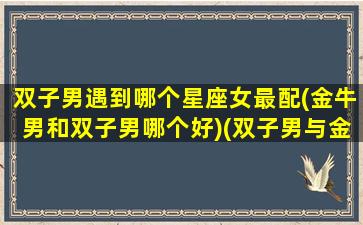 双子男遇到哪个星座女最配(金牛男和双子男哪个好)(双子男与金牛女的爱情)