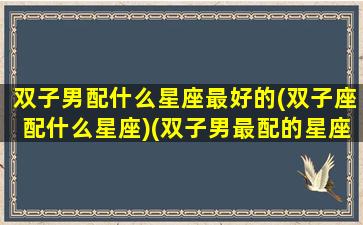 双子男配什么星座最好的(双子座配什么星座)(双子男最配的星座排名)