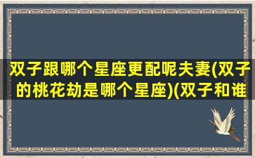 双子跟哪个星座更配呢夫妻(双子的桃花劫是哪个星座)(双子和谁最配在一起)