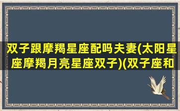 双子跟摩羯星座配吗夫妻(太阳星座摩羯月亮星座双子)(双子座和摩羯座在一起合适吗)