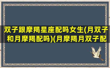 双子跟摩羯星座配吗女生(月双子和月摩羯配吗)(月摩羯月双子配对)