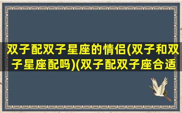 双子配双子星座的情侣(双子和双子星座配吗)(双子配双子座合适吗)