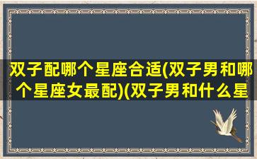 双子配哪个星座合适(双子男和哪个星座女最配)(双子男和什么星座最配排行)