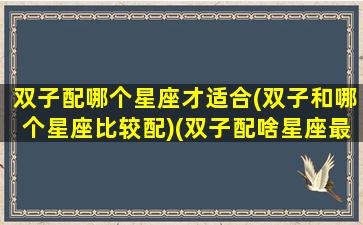 双子配哪个星座才适合(双子和哪个星座比较配)(双子配啥星座最好)