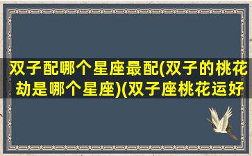 双子配哪个星座最配(双子的桃花劫是哪个星座)(双子座桃花运好吗)