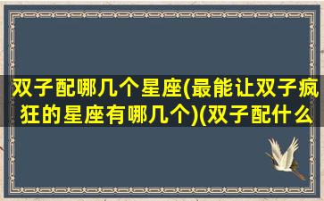 双子配哪几个星座(最能让双子疯狂的星座有哪几个)(双子配什么星座)