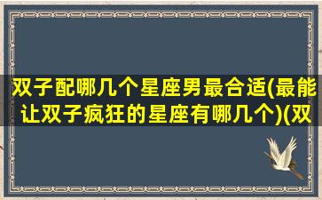 双子配哪几个星座男最合适(最能让双子疯狂的星座有哪几个)(双子配什么星座)