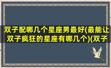 双子配哪几个星座男最好(最能让双子疯狂的星座有哪几个)(双子最般配星座)