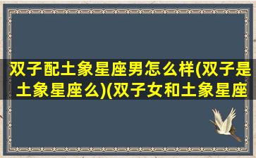 双子配土象星座男怎么样(双子是土象星座么)(双子女和土象星座)