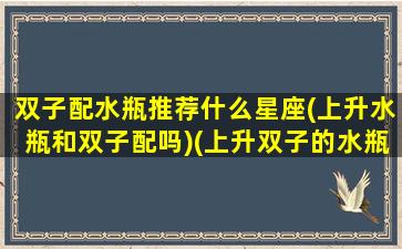 双子配水瓶推荐什么星座(上升水瓶和双子配吗)(上升双子的水瓶座)