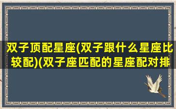 双子顶配星座(双子跟什么星座比较配)(双子座匹配的星座配对排行)