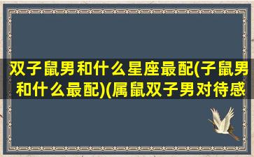 双子鼠男和什么星座最配(子鼠男和什么最配)(属鼠双子男对待感情)