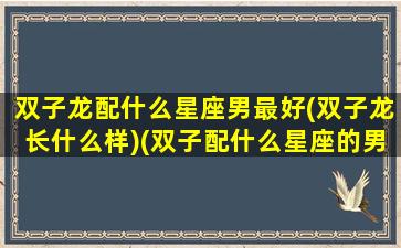 双子龙配什么星座男最好(双子龙长什么样)(双子配什么星座的男生)