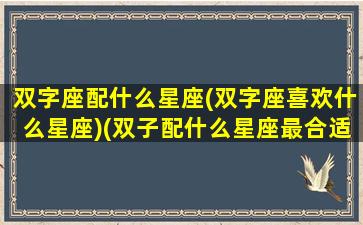 双字座配什么星座(双字座喜欢什么星座)(双子配什么星座最合适)