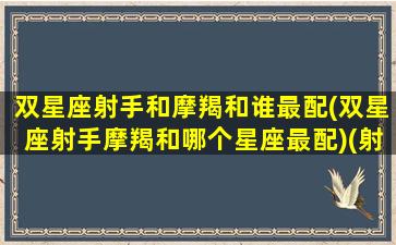 双星座射手和摩羯和谁最配(双星座射手摩羯和哪个星座最配)(射手摩羯座和双子巨蟹座配对)