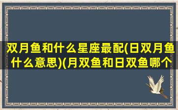 双月鱼和什么星座最配(日双月鱼什么意思)(月双鱼和日双鱼哪个双鱼特质更重)