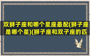 双狮子座和哪个星座最配(狮子座是哪个星)(狮子座和双子座的匹配度是多少)