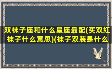 双袜子座和什么星座最配(买双红袜子什么意思)(袜子双装是什么意思)