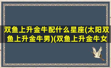 双鱼上升金牛配什么星座(太阳双鱼上升金牛男)(双鱼上升金牛女的命运)