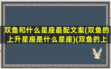 双鱼和什么星座最配文案(双鱼的上升星座是什么星座)(双鱼的上升星座还是双鱼)