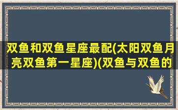 双鱼和双鱼星座最配(太阳双鱼月亮双鱼第一星座)(双鱼与双鱼的配对指数)