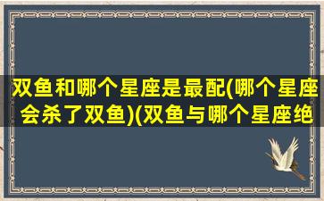 双鱼和哪个星座是最配(哪个星座会杀了双鱼)(双鱼与哪个星座绝配)