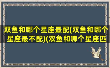 双鱼和哪个星座最配(双鱼和哪个星座最不配)(双鱼和哪个星座匹配最低)