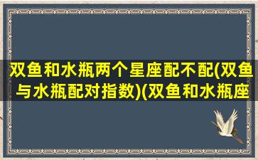 双鱼和水瓶两个星座配不配(双鱼与水瓶配对指数)(双鱼和水瓶座匹配程度是多少)