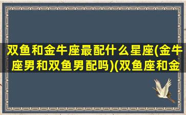 双鱼和金牛座最配什么星座(金牛座男和双鱼男配吗)(双鱼座和金牛座搭不搭)