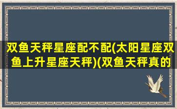 双鱼天秤星座配不配(太阳星座双鱼上升星座天秤)(双鱼天秤真的不合适吗)