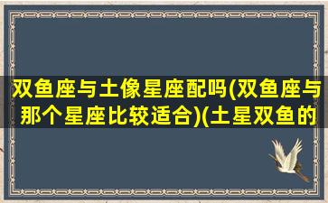 双鱼座与土像星座配吗(双鱼座与那个星座比较适合)(土星双鱼的人天生成熟么)