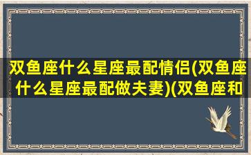 双鱼座什么星座最配情侣(双鱼座什么星座最配做夫妻)(双鱼座和什么星座最适合做情侣)