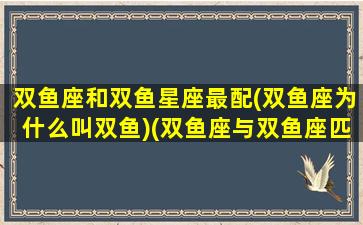 双鱼座和双鱼星座最配(双鱼座为什么叫双鱼)(双鱼座与双鱼座匹配吗)