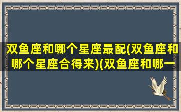 双鱼座和哪个星座最配(双鱼座和哪个星座合得来)(双鱼座和哪一个星座最般配)