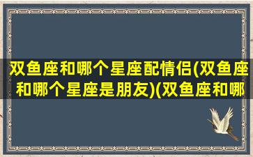 双鱼座和哪个星座配情侣(双鱼座和哪个星座是朋友)(双鱼座和哪个星座最适合当情侣)