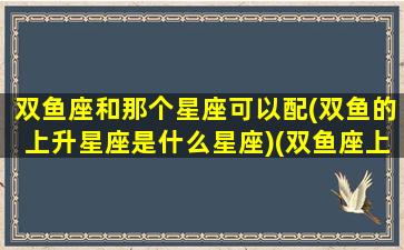 双鱼座和那个星座可以配(双鱼的上升星座是什么星座)(双鱼座上升还是双鱼座)