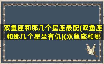 双鱼座和那几个星座最配(双鱼座和那几个星坐有仇)(双鱼座和哪些星座)