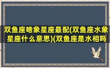 双鱼座啥象星座最配(双鱼座水象星座什么意思)(双鱼座是水相吗)