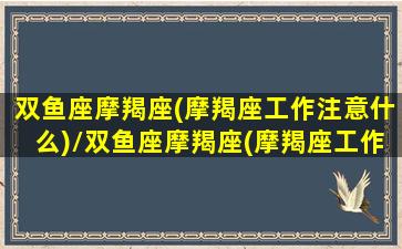 双鱼座摩羯座(摩羯座工作注意什么)/双鱼座摩羯座(摩羯座工作注意什么)-我的网站