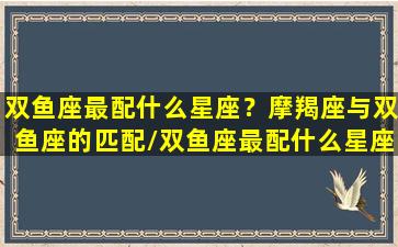 双鱼座最配什么星座？摩羯座与双鱼座的匹配/双鱼座最配什么星座？摩羯座与双鱼座的匹配-我的网站