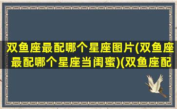 双鱼座最配哪个星座图片(双鱼座最配哪个星座当闺蜜)(双鱼座配啥星座最好)