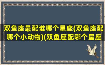 双鱼座最配谁哪个星座(双鱼座配哪个小动物)(双鱼座配哪个星座最好)