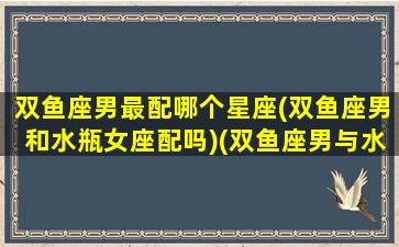 双鱼座男最配哪个星座(双鱼座男和水瓶女座配吗)(双鱼座男与水瓶座女般配吗)