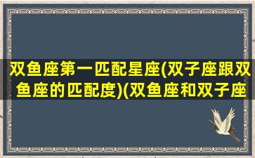 双鱼座第一匹配星座(双子座跟双鱼座的匹配度)(双鱼座和双子座的匹配指数)