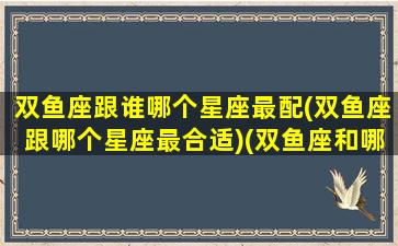 双鱼座跟谁哪个星座最配(双鱼座跟哪个星座最合适)(双鱼座和哪个星座搭配最好)