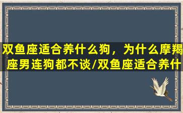 双鱼座适合养什么狗，为什么摩羯座男连狗都不谈/双鱼座适合养什么狗，为什么摩羯座男连狗都不谈-我的网站