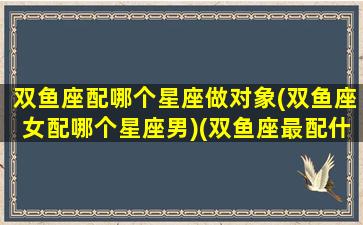 双鱼座配哪个星座做对象(双鱼座女配哪个星座男)(双鱼座最配什么座的女朋友)