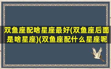 双鱼座配啥星座最好(双鱼座后面是啥星座)(双鱼座配什么星座呢)